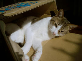 IMGP13275.jpg