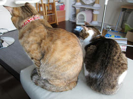 IMG01200.jpg