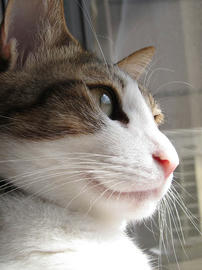 IMG01205.jpg
