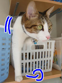 IMG01206.jpg