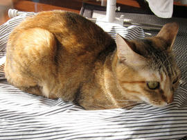IMG01207.jpg