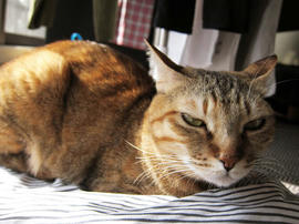 IMG01208.jpg
