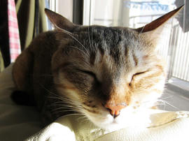 IMG01211.jpg