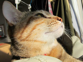 IMG01214.jpg