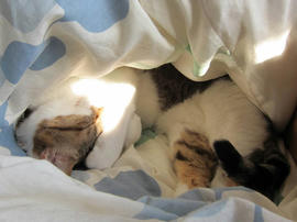 IMG01217.jpg