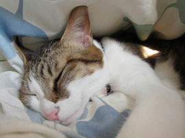 IMG01212.jpg