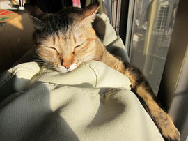 IMG01215.jpg