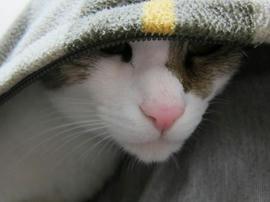 IMG01222.jpg