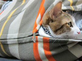 IMG01225.jpg