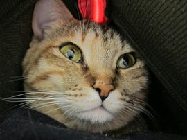 IMG01229.jpg