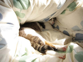 IMG01233.jpg