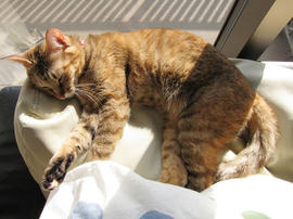 IMG01235.jpg