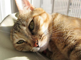 IMG01239.jpg