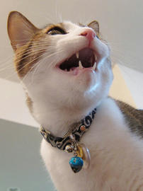 IMG01241.jpg