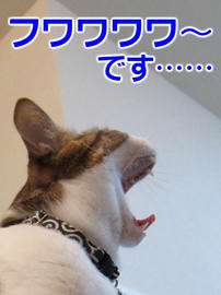 IMG01253.jpg