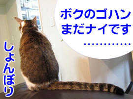 IMG01254.jpg