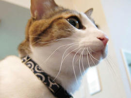 IMG01255.jpg