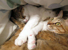 IMG01264.jpg