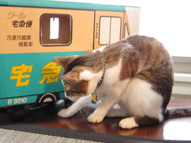 IMG01266.jpg