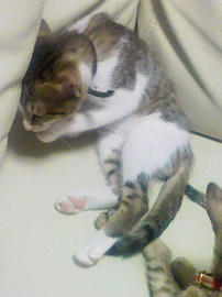 PAP_0383.jpg