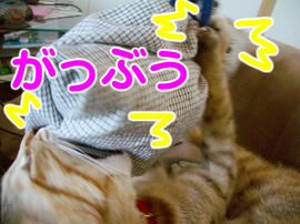 IMGP10554.jpg