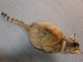 IMG01277.jpg