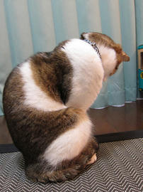 IMG01278.jpg