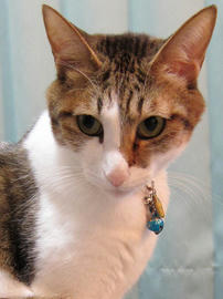 IMG01279.jpg