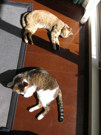IMG01280.jpg