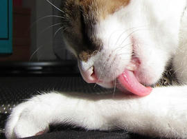IMG01281.jpg