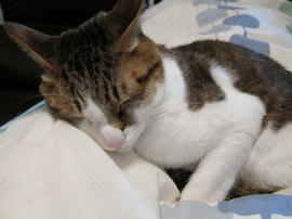 IMG01285.jpg