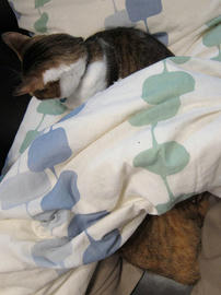 IMG01287.jpg