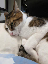 IMG01288.jpg