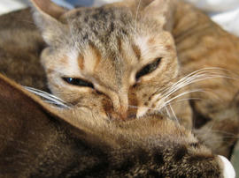 IMG01293.jpg