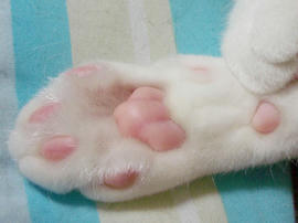 IMGP13303.jpg