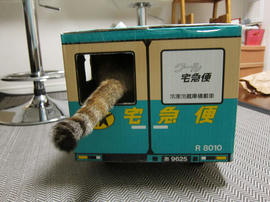 IMG01295.jpg