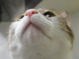 IMG01306.jpg