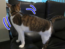 IMG01330.jpg