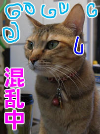 IMG01333.jpg