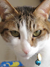 IMG01336.jpg