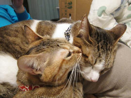 IMG01342.jpg