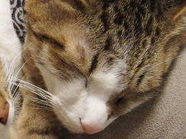 IMG01339.jpg