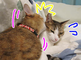 IMG01344.jpg
