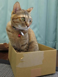 IMG01351.jpg