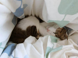 IMG01353.jpg