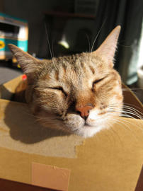 IMG01357.jpg