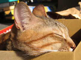 IMG01358.jpg
