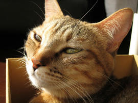 IMG01359.jpg