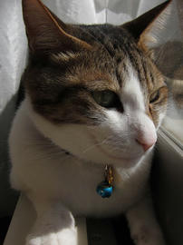 IMG01376.jpg