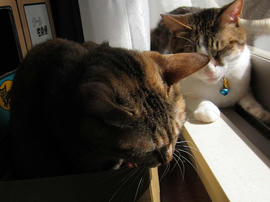 IMG01377.jpg